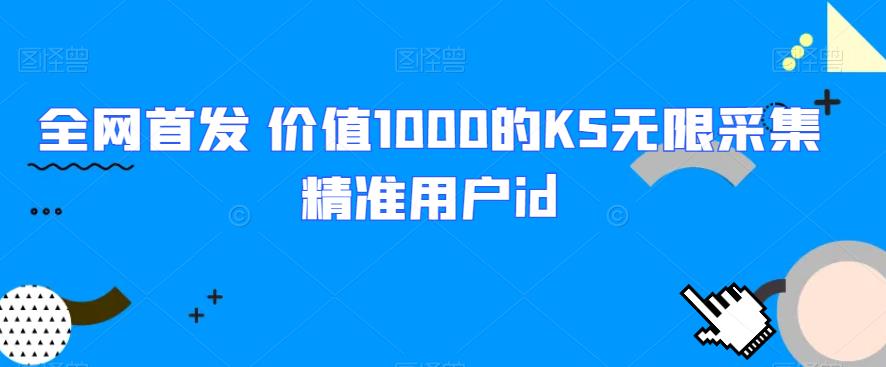 全网首发 价值1000的KS无限采集精准用户id网赚项目-副业赚钱-互联网创业-资源整合午阳网赚