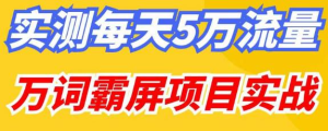 百度万词霸屏实操项目引流课,30天霸屏10万关键词网赚项目-副业赚钱-互联网创业-资源整合午阳网赚