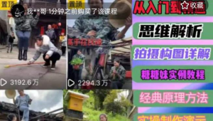 东方糖糖妹抖音短视频全套实战课思维+拍摄+剪辑+运营,从入门到精通网赚项目-副业赚钱-互联网创业-资源整合午阳网赚