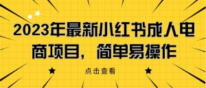 2023年最新小红书成人电商项目,简单易操作【详细教程】网赚项目-副业赚钱-互联网创业-资源整合午阳网赚